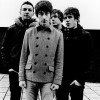 Book Arctic Monkey