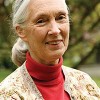 Book Jane Goodall