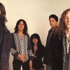 Book Black Crowes