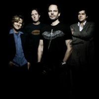 Book Gin Blossoms
