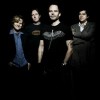 Book Gin Blossoms