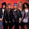 Book Guns n Roses