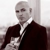 Book Pitbull