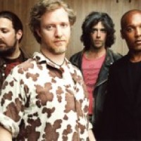 Book Spin Doctors