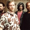 Book Spin Doctors