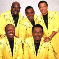 Book The Spinners