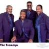 Book The Trammps