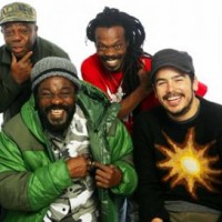Book The Wailers