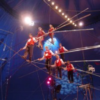 Book The Flying Wallendas