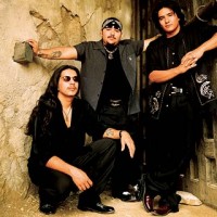 Book Los Lonely Boys