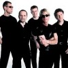 Book Rockapella