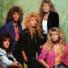 Book Whitesnake